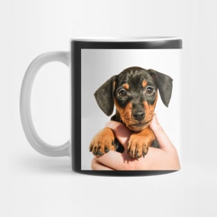 Pinscher puppy in hand Mug